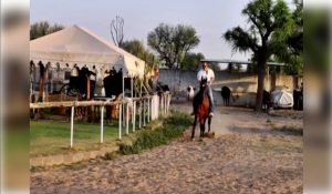 Saif Ali Khan back in action: Seen riding horse months after stabbing injury