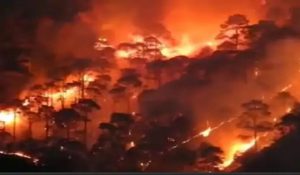 Uttarakhand forest catch fire as heat rises: 136 hectares burnt; Forest Dept. on high alert