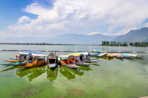 Jammu and Kashmir: Srinagar Records Hottest Day of the Season at 34.4°C
