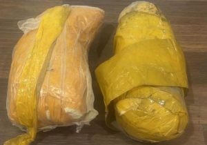 Pakistani drone with Rs 5 crore heroin seized in Rajasthan’s Sri Ganganagar