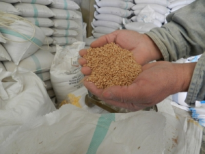 Centre Imposes Stock Limits on Wheat to Curb Hoarding and Control Inflation
