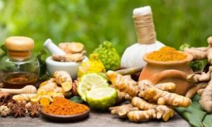 September 23 will be marked as new National Ayurveda Day