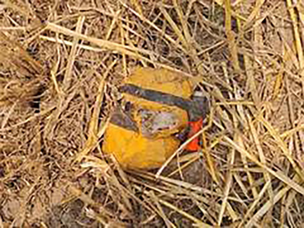 BSF seizes heroin packet, drone in Punjab, foils cross-border smuggling attempts