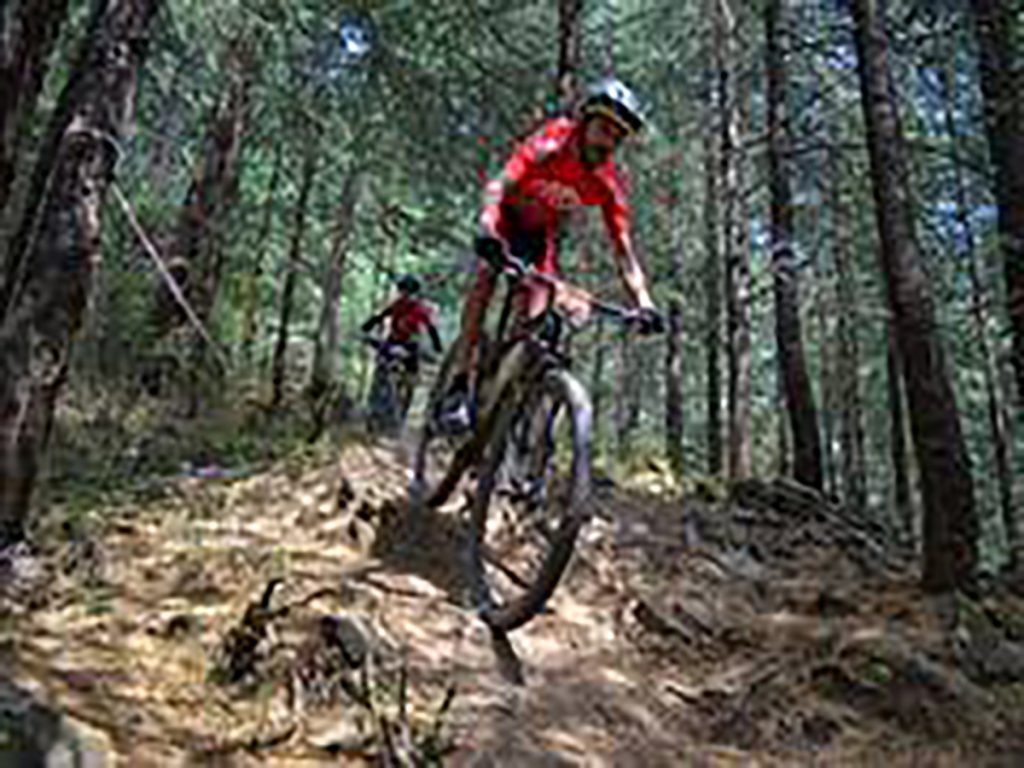 CM Sukhu flags off 12th edition of MTB Himalaya cycle race in Shimla