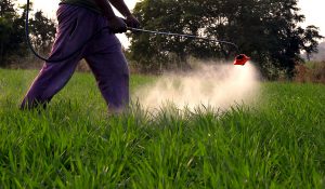 Push for global ban on chlorpyrifos gains ground