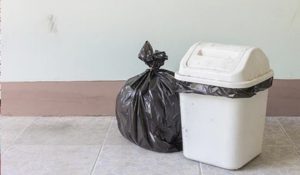 Himachal: Dustbin compulsory in commercial vehicles, instructions issued for bus and taxi stands too
