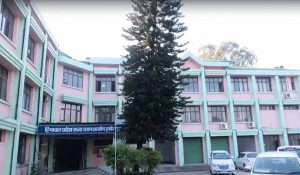 Women candidates in Himachal will also have to pay application fee for jobs