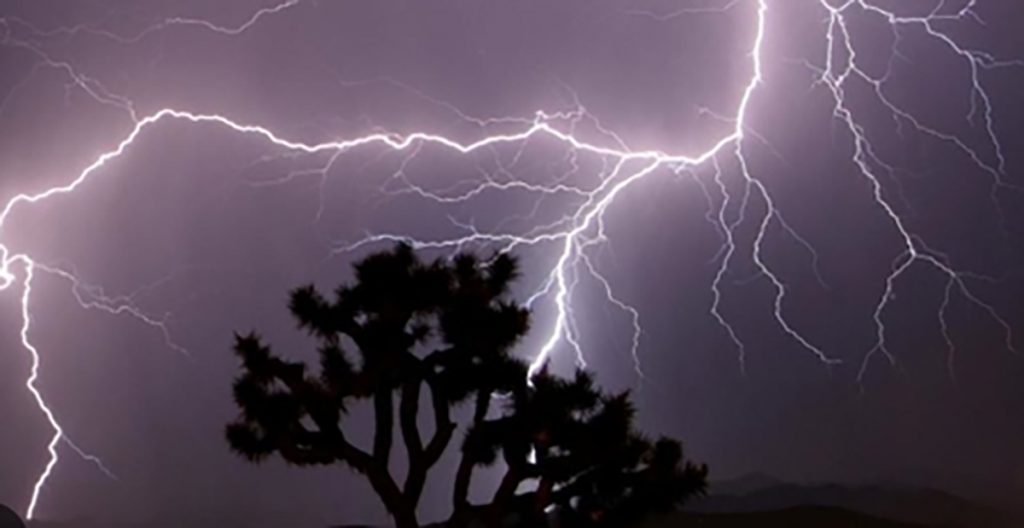 Heavy rains lash Andhra Pradesh, two killed by lightning