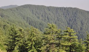 Himachal Pradesh Faces Dry December, Light Snowfall Likely in Higher Reaches
