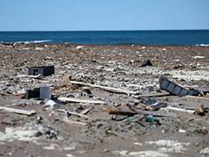 India-EU partner on €41 million R&D push to tackle marine pollution, tech innovation