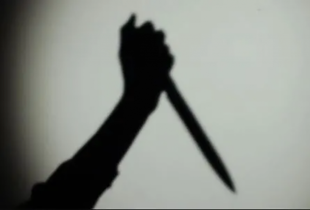 Mother-daughter stabbed in Bihar's Rohtas, Man shot in Nalanda