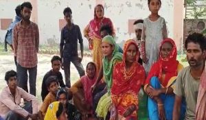 Haryana: Big action against intruders, more than 200 Bangladeshi-Rohingyas caught from three districts