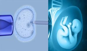 Higher success rate using a simple oral swab test before IVF: Swedish researchers