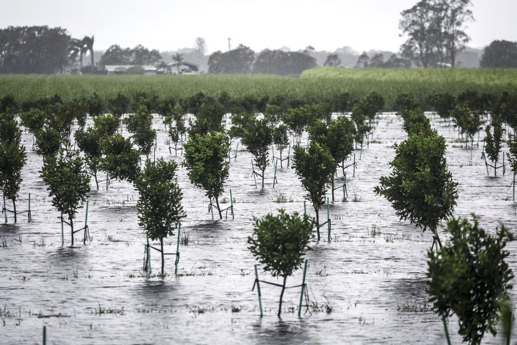Thousands isolated as flooding crisis in Australia worsens