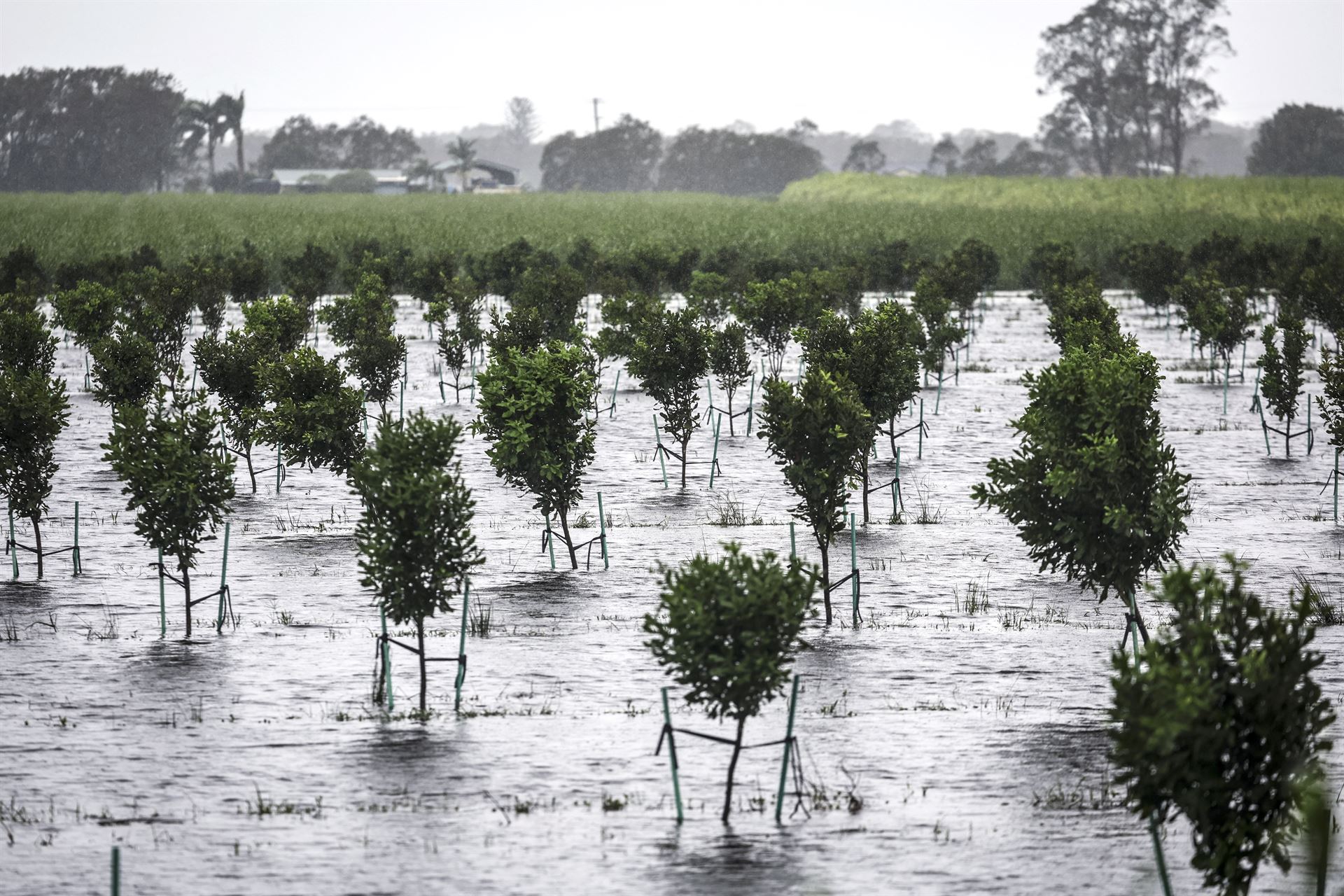 Thousands isolated as flooding crisis in Australia worsens