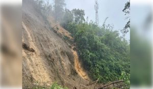 Children, women among seven killed in Arunachal landslides