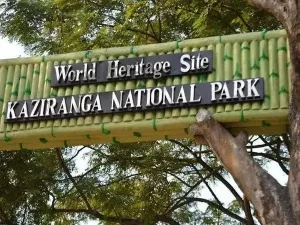 Kaziranga Sets New Tourist Record, Ranks 3rd Most Visited National Park in India