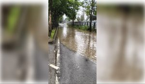 Bengaluru flooding: City’s reputation hit globally, says BJP leader