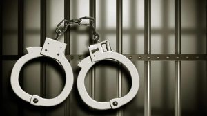 Drug peddler arrested, narcotics recovered in J&K’s Kupwara