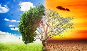 India’s next generation endangered by climate change, needs protection