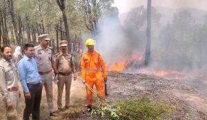 Forest area burnt during mock drill to extinguish fire in Bhingu