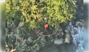 Kulgam man jumps into river, drowns; video surfaces as NC, PDP leaders cry foul
