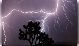 Lightning strikes kill nine in Bihar, IMD issues alert