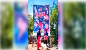 Three RCB fans arrested for sacrificing goat in front of Virat Kohli cutout after win over CSK