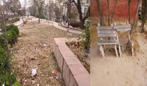 Municipal Council Sirsa cancels tenders for 84 parks