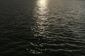 Chennai’s Veeranam lake reaches full capacity, boosting irrigation, drinking water supply
