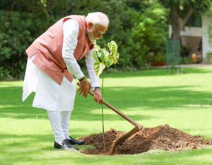 PM Modi launches ‘Aravali Green Wall’ project by planting sapling under Ek Ped Maa Ke Naam initiative
