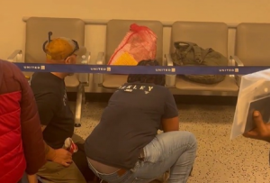 Viral video of handcuffed student:  India Raises Concerns with US Embassy