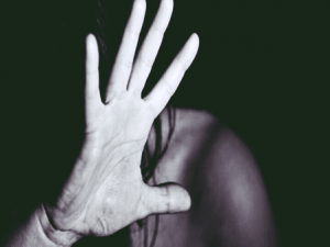 French tourist raped in Udaipur after cafe party, Case Registered