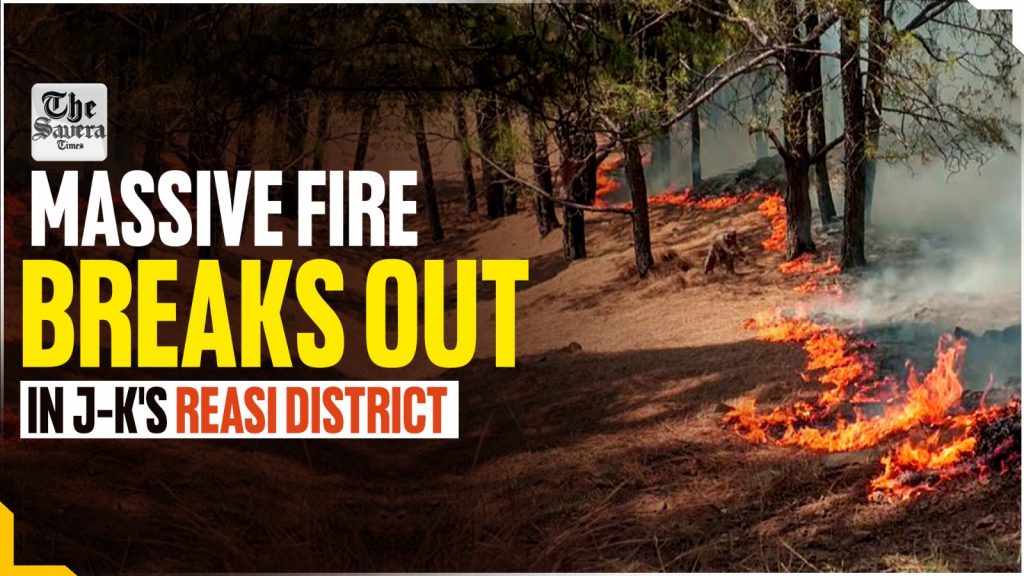 Fire breaks out in Reasi forests, authorities bring it under control