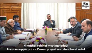 Himachal cabinet meeting today: Focus on apple prices; Power project and cloudburst relief
