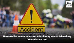 Uncontrolled canter overturns after hitting tree in Jalandhar; Driver dies on spot