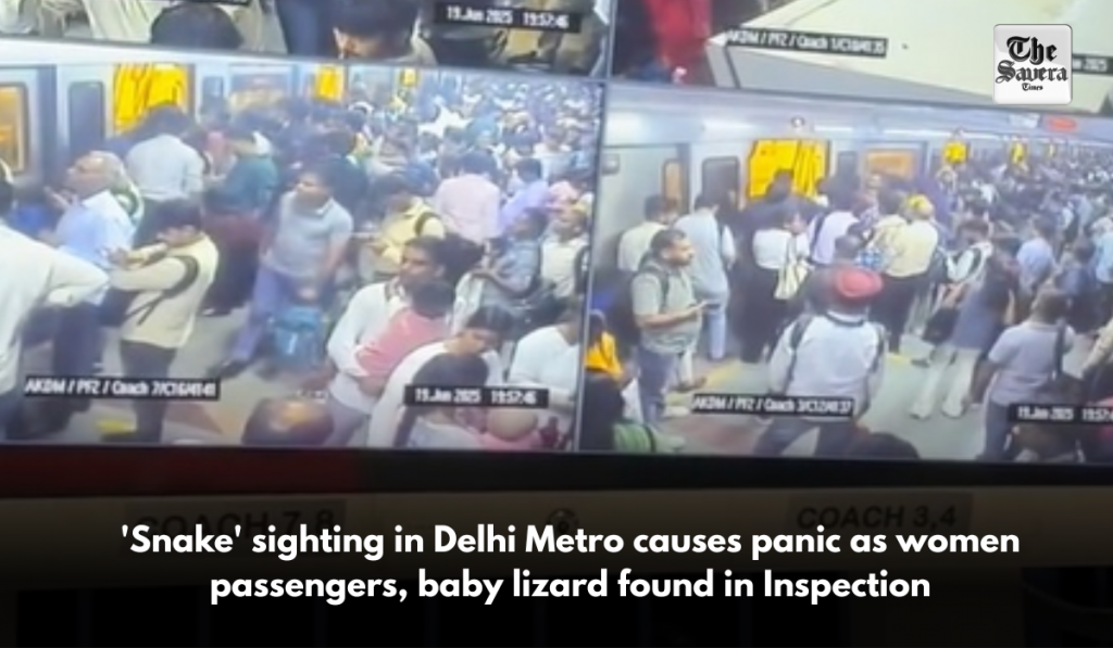 'Snake' sighting in Delhi Metro causes panic as women passengers, baby lizard found in Inspection