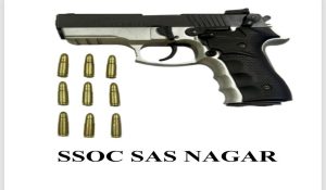Punjab SSOC foils killing plot linked to Arsh Dalla; Two arrested
