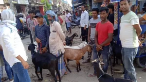 Delhi govt bans ‘illegal’ killing, sacrifice on Eid; bans sharing of videos on social media
