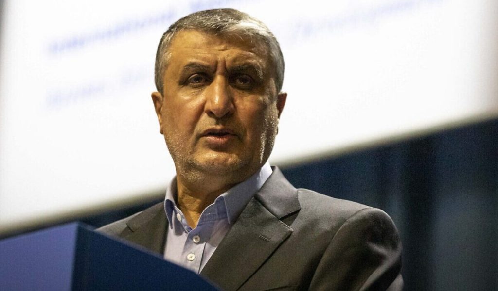 Russia to build eight nuclear plants in Iran: Atomic chief
