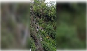 Car falls into deep gorge in Mussoorie, police rescue two