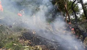 Helicopter crashes near Kedarnath, 7 dead including pilot and child