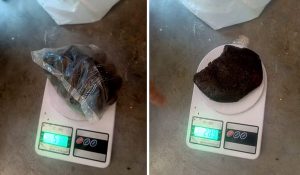 Himachal: 3 people including two youths arrested with hashish, opium and heroin
