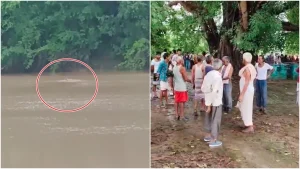 Woman killed after crocodile attack in Damoh, Madhya Pradesh