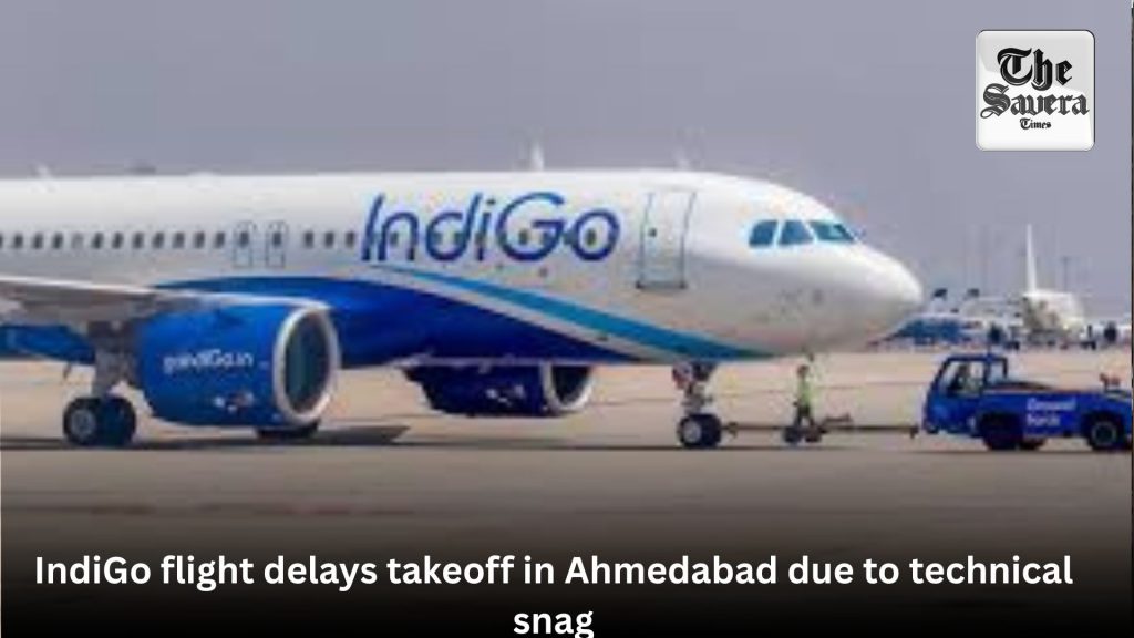 IndiGo flight