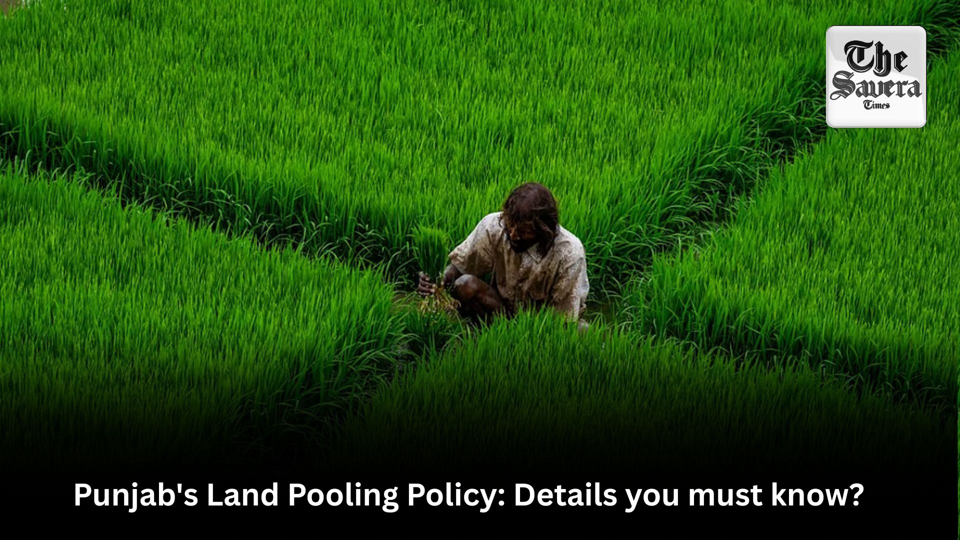 Punjab’s Land Pooling Policy: Details you must know?