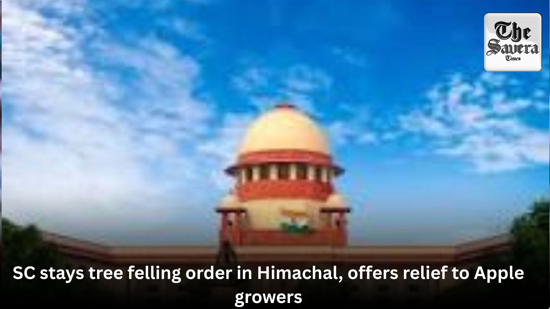 SC stays tree felling order in Himachal, offers relief to Apple growers