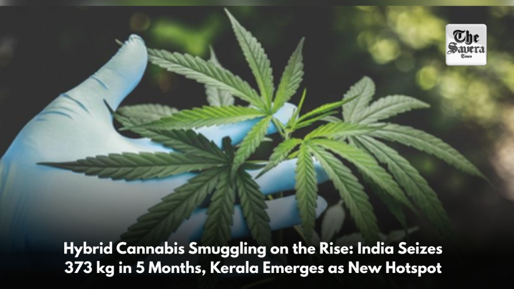 Hybrid Cannabis Smuggling on the Rise: India Seizes 373 kg in 5 Months, Kerala Emerges as New Hotspot