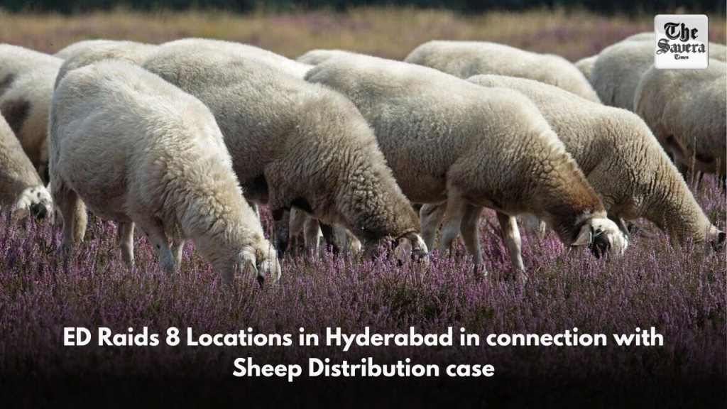 ED Raids 8 Locations in Hyderabad in connection with Sheep Distribution case