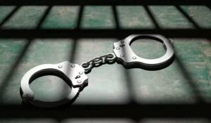 Bihar woman arrested in Bengal with Rs 1.50 crore banned narcotics